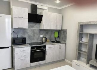 Однокомнатная квартира в аренду, 36 м2, Казань, Тэцевская улица, 4Б, ЖК Острова