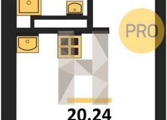 Продаю квартиру студию, 20.2 м2, Воронеж, Центральный район, Транспортная улица, 58