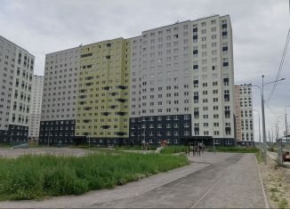 Сдам квартиру студию, 18.2 м2, Санкт-Петербург, Муринская дорога, 31к1, метро Девяткино