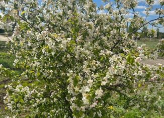 Продам коттедж, 132 м2, деревня Новое Мамонино, Питерская улица