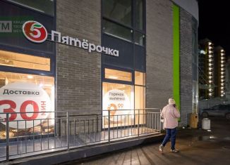 Продаю помещение свободного назначения, 488 м2, посёлок Шушары, Старорусский проспект, 8к2