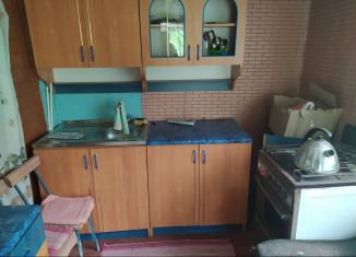 Сдается дом, 26 м2, Московская область, улица Борисова