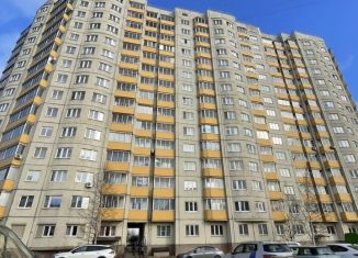 Сдаю 2-ком. квартиру, 54 м2, Санкт-Петербург, Софийская улица, 38к2, метро Международная