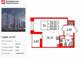 Продам квартиру студию, 24.3 м2, Санкт-Петербург, метро Парнас