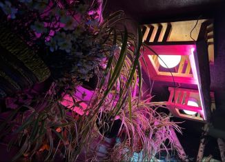 Сдается дом, 259 м2, Ростов-на-Дону, Перовский переулок, 1/25