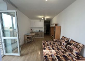 Сдам квартиру студию, 30 м2, Екатеринбург, Дорожная улица, 12, ЖК Весна