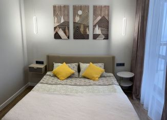 Сдается в аренду 1-комнатная квартира, 43 м2, Чебоксары, улица Афанасьева, 14