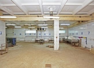 Аренда производства, 529 м2, Омская область, 3-я Автомобильная улица, 3А/5