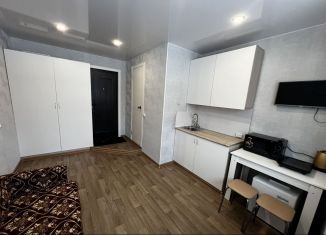 Сдаю в аренду квартиру студию, 17 м2, Северодвинск, улица Ломоносова, 65