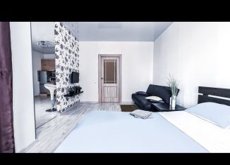 Сдается в аренду квартира студия, 60 м2, Екатеринбург, улица Циолковского, 29, ЖК Времена Года