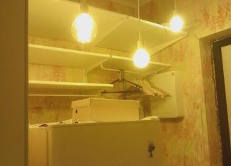 Сдается в аренду квартира студия, 26 м2, Мурино, проспект Авиаторов Балтики, 7, ЖК Виктория