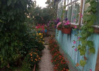 Продаю дачу, 60 м2, Братск, площадь Ленина