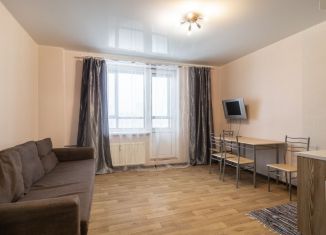 Продам квартиру студию, 24.3 м2, Мурино, проспект Авиаторов Балтики, 7, ЖК Виктория