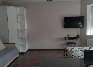 Квартира в аренду студия, 42 м2, Лобня, улица Борисова, 24к1, ЖК Букино
