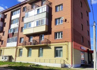 Продается 2-комнатная квартира, 47.4 м2, деревня Кузнечиха (Кузнечихинский сельский округ), Центральная улица, 5А