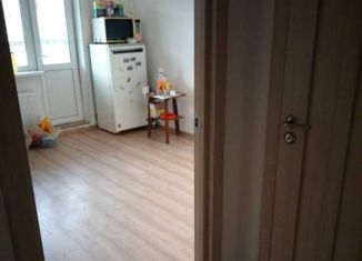 Сдаю квартиру студию, 20 м2, Мурино, улица Шувалова, ЖК Краски Лета