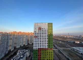 Квартира на продажу студия, 28.9 м2, посёлок Парголово, улица Архитектора Белова, 6к1, ЖК Парнас