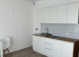 Сдаю в аренду квартиру студию, 28 м2, Люберцы, улица Камова, 1к2, ЖК Люберцы 2020