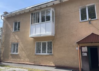 Продается двухкомнатная квартира, 58 м2, село Елыкаево, улица Шахтёр Кузбасса, 2