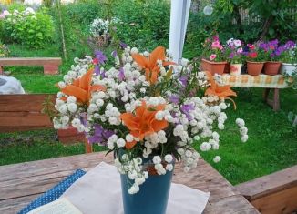 Продам дачу, 40 м2, СНТ Вега-1, СНТ Вега-1, 615