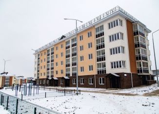 Продается однокомнатная квартира, 28.5 м2, сельский посёлок Новинки, 2-я Дорожная улица, 23
