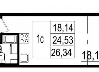Квартира на продажу студия, 24.6 м2, Санкт-Петербург, метро Проспект Ветеранов