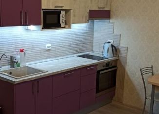 Сдаю в аренду квартиру студию, 31 м2, Кудрово, Областная улица, 1, ЖК Новый Оккервиль