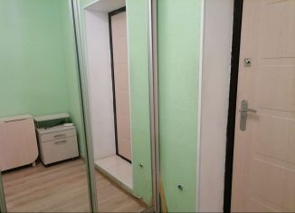 1-комнатная квартира в аренду, 30 м2, Рязанская область, Большая улица, 98