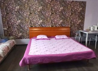 Квартира в аренду студия, 40 м2, Новосибирск, Плющихинская улица, 2, метро Речной вокзал