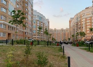 Продам квартиру студию, 20 м2, Москва, 6-я Радиальная улица, 5к2, ЖК Царицыно