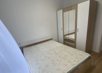 Сдается в аренду однокомнатная квартира, 42 м2, Котельники, ЖК Белая Дача Парк