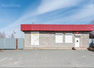 Продажа дома, 105 м2, СНТ Красная Рябина, Минская улица, 382