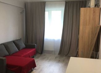 Аренда 1-комнатной квартиры, 54 м2, село Раздольное, Тепличная улица, 65к1, ЖК Министерские Озёра