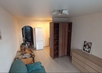 Сдача в аренду квартиры студии, 24 м2, Мурино, Петровский бульвар, 7, ЖК Ласточка