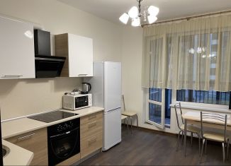 1-комнатная квартира в аренду, 40 м2, Санкт-Петербург, Торфяная дорога, 17к4, метро Комендантский проспект