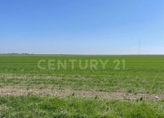 Продам земельный участок, 1885 сот., Новосельское сельское поселение