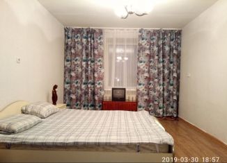 1-комнатная квартира в аренду, 37 м2, Нижегородская область, микрорайон Прибрежный, 3