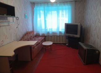 Сдаю в аренду однокомнатную квартиру, 30 м2, Ленинградская область, площадь Усова, 2