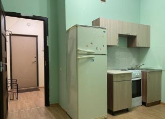 Квартира на продажу студия, 25.5 м2, Мурино, Воронцовский бульвар, 6, ЖК Гринландия