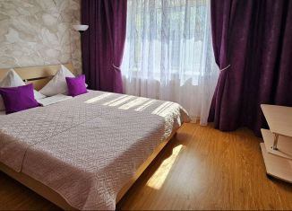 Сдается 1-ком. квартира, 40 м2, Орёл, Комсомольская улица, 263, Заводской район