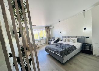 Сдача в аренду квартиры студии, 30 м2, Орёл, Комсомольская улица, 53, Заводской район