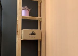 Сдам в аренду квартиру студию, 30 м2, Пермь, ЖК Арсенал, улица Александра Турчевича, 6