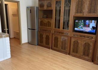 Продаю квартиру со свободной планировкой, 25 м2, Мурино, проспект Авиаторов Балтики, 7, ЖК Виктория