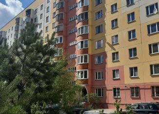 Продам 3-комнатную квартиру, 70 м2, село Осиново, Спортивная улица, 1, ЖК Радужный