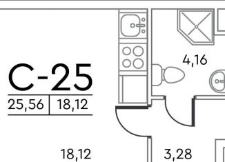 Продажа квартиры студии, 25.3 м2, Санкт-Петербург, Планерная улица, 95к1, муниципальный округ Юнтолово