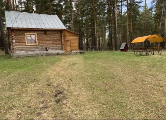 Сдаю в аренду дом, 36 м2, деревня Катайка