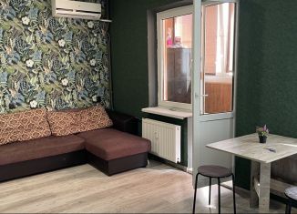 Сдается в аренду квартира студия, 28 м2, Ростов-на-Дону, улица Тимофеева, 14к1, ЖК Платовский