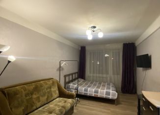 Сдается 2-комнатная квартира, 45 м2, Санкт-Петербург, Витебский проспект, 79к1, метро Проспект Славы