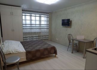 Квартира в аренду студия, 30 м2, посёлок Парголово, Заречная улица, 13к3