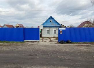 Продаю дом, 100 м2, Каменка, улица Мичурина, 62